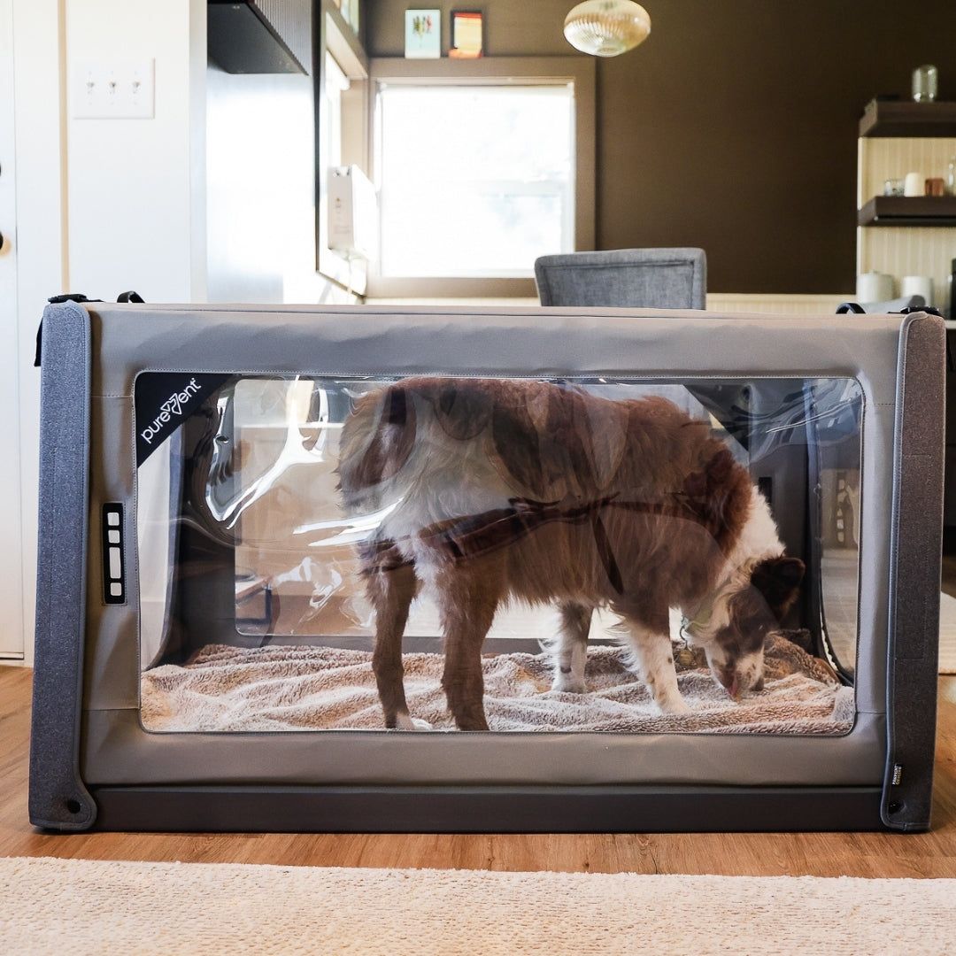 PureVent Pet Oxygen Chamber – Large Oxygen Enclosure for Dogs, Cats, and Pets