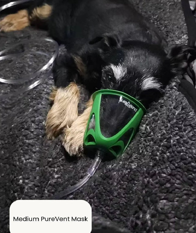 PureVent Pet Oxygen Mask for Dogs, Cats, Animals – Veterinary-Grade Oxygen Therapy