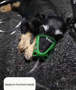PureVent Pet Oxygen Mask for Dogs, Cats, Animals – Veterinary-Grade Oxygen Therapy