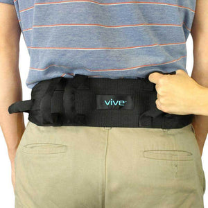 Transfer Belt